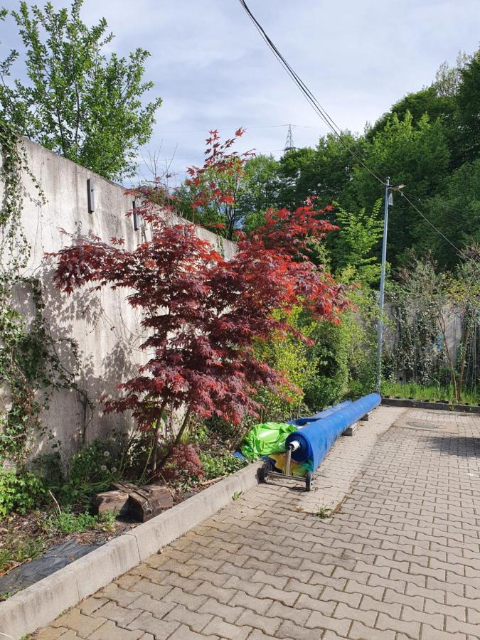 Pensiunea Roua Muntelui Brăzeşti Buitenkant foto